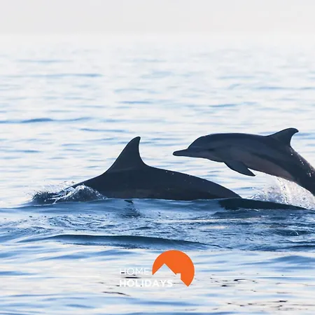 Appartement #150 Da Rocha Nearby Albufeira