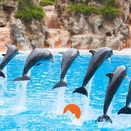 #150 Da Rocha By Holidays Albufeira