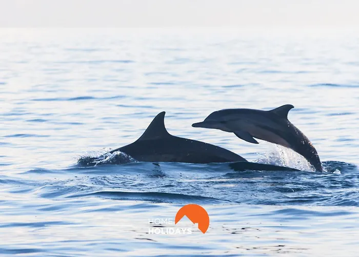 Διαμέρισμα #150 Da Rocha By Holidays Αλμπουφέιρα