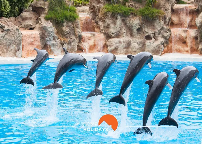 #150 Da Rocha By Holidays Αλμπουφέιρα